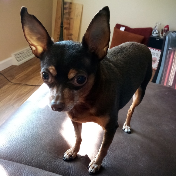 Meet your Posher, !Beth - Picture 2 of 8